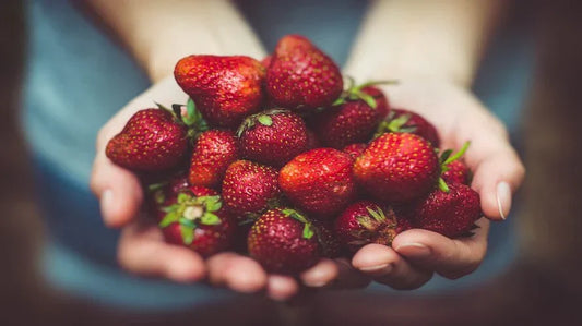 Fisetin – en spännande flavonoid för longevity