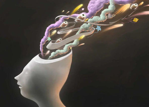 Alt du skal vide om Omega 3 fedtsyrer...